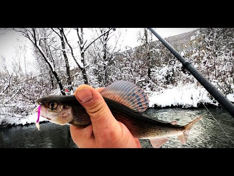 Рыбалка на Снежного Хариуса/Кемеровская.Обл.Ручей./Дальний Поход за Октябрьским ХАРИУСОМ.