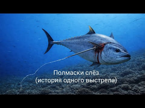 Полмаски слёз. История одного выстрела