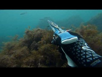 Один выстрел на косяк  Подводная охота