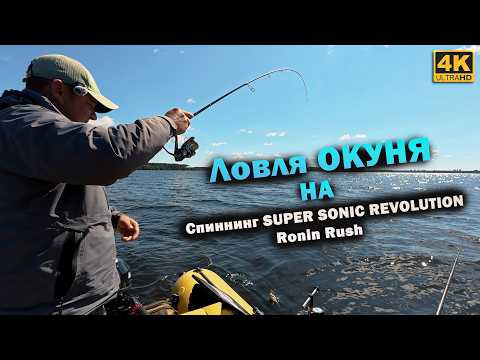 Ловля ОКУНЯ на Спиннинг SUPER SONIC REVOLUTION, Ronin Rush Ловля ОКУНЯ на Спиннинг SUPER SONIC REVOLUTION, Ronin Rush