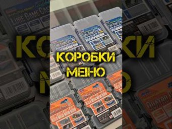 Коробки MEIHO#fishingtoday #рыбалка #спиннинг #рыбалканаспиннинг #рыбалкавбеларуси