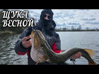 ЩУКА ВЕСНОЙ. ПРИМАНКИ И ПРОВОДКИ НА ЩУКУ. РЫБАЛКА НА СПИННИНГ