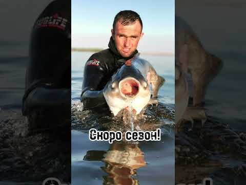 Скоро сезон 2024! Скоро сезон 2024!
