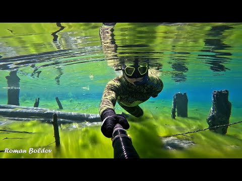 ПОДВОДНАЯ КРАСОТА МЕРТВОГО ОЗЕРА. САМАЯ ЧИСТАЯ и ПРОЗРАЧНАЯ ВОДА! Жуткая находка. Подводная съемка.