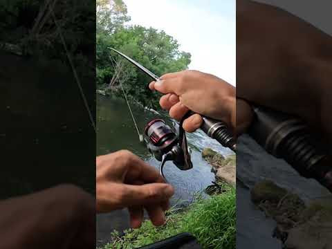 ТАКУЮ ПОКЛЕВКУ ГОЛАВЛЯ НУЖНО ВИДЕТЬ!!! РЫБА ПРЕТ В ПЕРЕКАТ! ЕЛЕ СДЕРЖАЛ! #fishing #рыбалка #2024 ТАКУЮ ПОКЛЕВКУ ГОЛАВЛЯ НУЖНО ВИДЕТЬ!!! РЫБА ПРЕТ В ПЕРЕКАТ! ЕЛЕ СДЕРЖАЛ! #fishing #рыбалка #2024