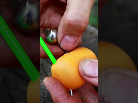 This Trick Catches Fish When You're Not Looking! 