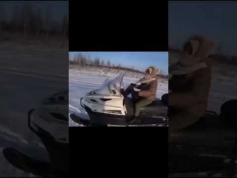Тайга варяг уехала к новому владельцу!