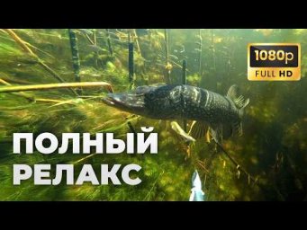 20 минут подводной охоты под расслабляющую музыку