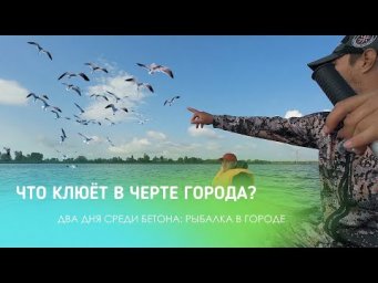 ЧТО КЛЮЁТ В ЧЕРТЕ ГОРОДА? ДВА ДНЯ СРЕДИ БЕТОНА: РЫБАЛКА В ГОРОДЕ