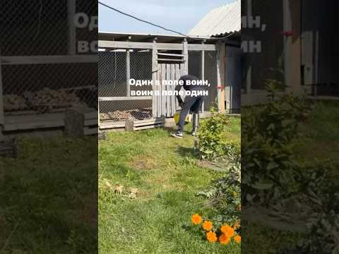 Урааа я победил картошку 