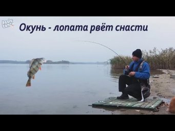 РЫБАЛКА  на МОРДАТЫХ ОКУНЕЙ ● ЛОВЛЯ на микроДЖИГ ОСЕНЬЮ
