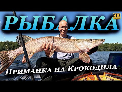 Эту Щуку я ждал 1,5 месяца. А ещё неплохо клевал судак