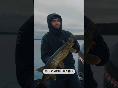 Предсказание спиннингиста или думай как щука #HotSpotPike2 Предсказание спиннингиста или думай как щука #HotSpotPike2