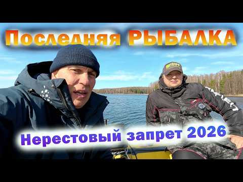 Последняя Рыбалка. Скоро НЕРЕСТОВЫЙ ЗАПРЕТ 2026!
