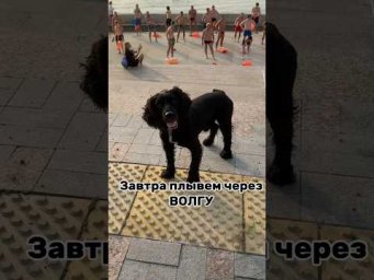 Завтра плывем через ВОЛГУ