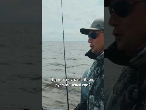 От такой рыбины и родной язык забудешь #hotspotzander