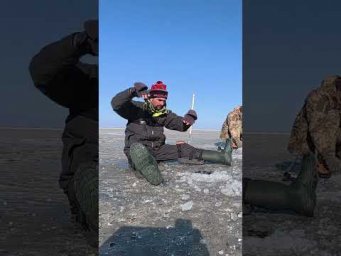Кабани на кивок  #рибалка #fishing #карась #сазан