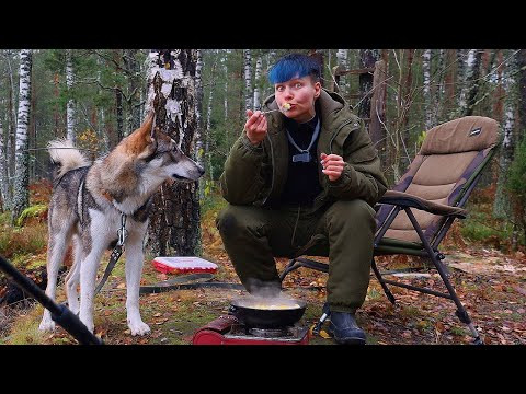 Осенью ЗА НАЛИМОМ на закидушки С НОЧЁВКОЙ. Река Нёман в Беларуси #539