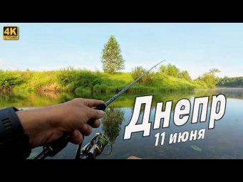 Голавль на спиннинг в июне! Улов на Днепре