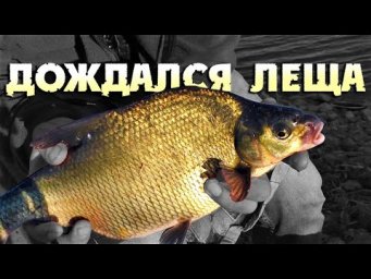 Рыбалка на фидер / Ловля леща и карася