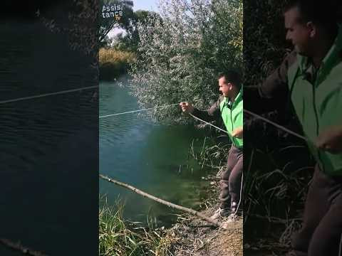 ПАУК&ЖИВЕЦ=ПиПеЦ #assistancetv #fishing #рыбалканаживца #отводнойнаживца #Поплавокнаживца ПАУК&ЖИВЕЦ=ПиПеЦ #assistancetv #fishing #рыбалканаживца #отводнойнаживца #Поплавокнаживца