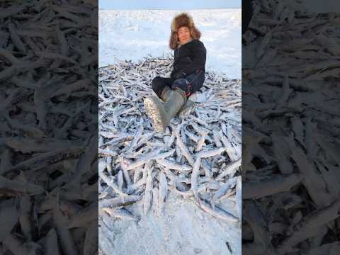 Понять, простить, поддерживать! 1,5 месяца на реке дают о себе знать, устал #клеваярыбалка Понять, простить, поддерживать! 1,5 месяца на реке дают о себе знать, устал #клеваярыбалка
