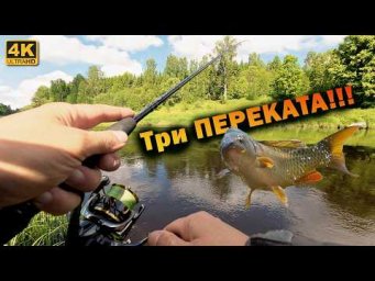 Проверил три переката! Где клюет голавль?