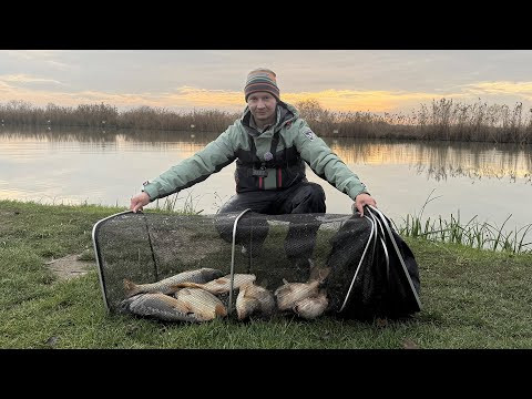 Активный клёв карпа в зимнее время года Активный клёв карпа в зимнее время года