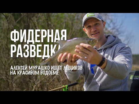 С разведкой на живописном водоёме. Фидер, подлещик и эксперименты с прикормкой