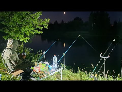 Рыбалка на сома с подводной камерой! Лучший монтаж на сома. Ночная ловля сома на донки в июле. Рыбалка на сома с подводной камерой! Лучший монтаж на сома. Ночная ловля сома на донки в июле.
