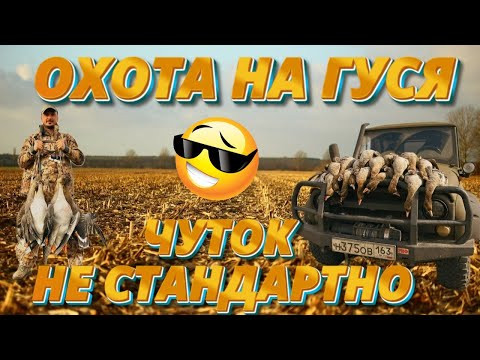 ГУСИНАЯ ОХОТА УДАЛАСЬ!!!