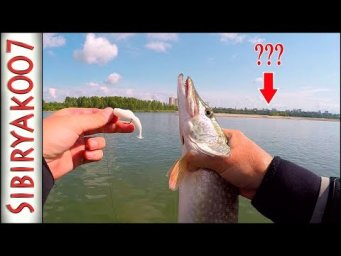 Ребята, кто оставил?)).. Джиг с лодки на реке. Щука и судак на Русскую Фишку