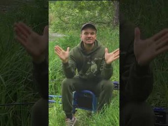 Чтобы клёв был ОГОНЬ  #рыбалка #assistancetv #фидер  #fishing #напоплавок  #рыбалканафидер #карась
