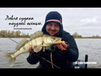 Ловля судака поздней осенью на спиннинг. Джиг из под бели (леща, густеры). 14 октября 2016 г.