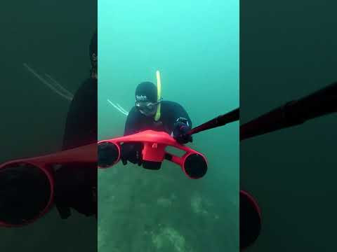 Полёт #freediving Полёт #freediving