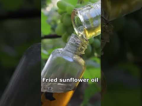 Lost Catfish Aroma Recipe Lost Catfish Aroma Recipe