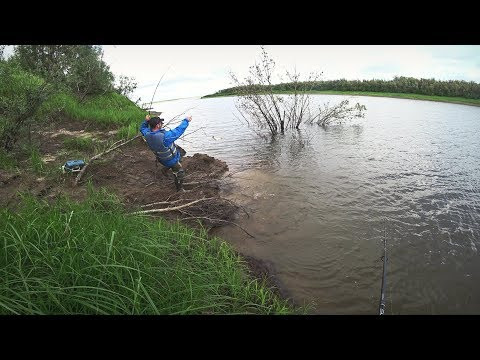 Ведро рыбы из под коряги. Рыбалка на спиннинг на севере.