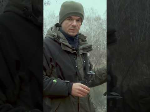 Как определить клёвое место. #assistancetv #fishing #рыбалка Как определить клёвое место. #assistancetv #fishing #рыбалка