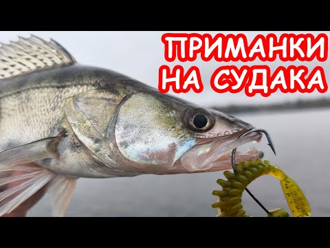 ПРИМАНКИ НА СУДАКА. РЫБАЛКА НА СПИННИНГ
