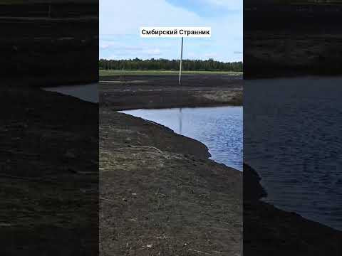 Вода ушла за ночь и рыба погибла. Вода ушла за ночь и рыба погибла.