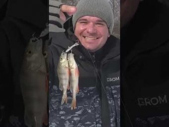 ТАКОЕ БЫВАЕТ?  #рыбалка #assistancetv   #fishing #балансир #зимняя_рыбалка #рыбалка_видео #блесна