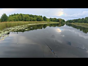 ВОДА КИПИТ И ОКУНИ РАЗРЫВАЮТ ПОППЕР! Попал под ливень, но рыбалка удалась!