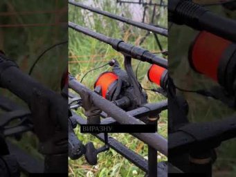 Коропове вудлище Daiwa Vertice #beregfishing #fishing #carpfishing #спінінг #галаш