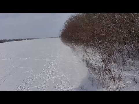 Охота на зайца - нежданчик Охота на зайца - нежданчик