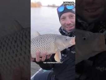 Астраханское раздолье: ловля судака и сазана по открытой воде