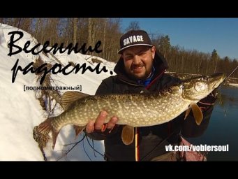 Ловля щуки весной на спиннинг. В марте на малой реке. Видео отчет от 16.03.2017 г.