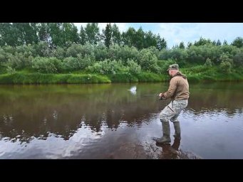 ТАК МОЖНО И СГИНУТЬ СРЕДИ МОЛНИЙ. КРУТАЯ РЫБАЛКА В РУЧЬЕ, ГДЕ РЫБА ЛЕЗЕТ НА БЕРЕГ.