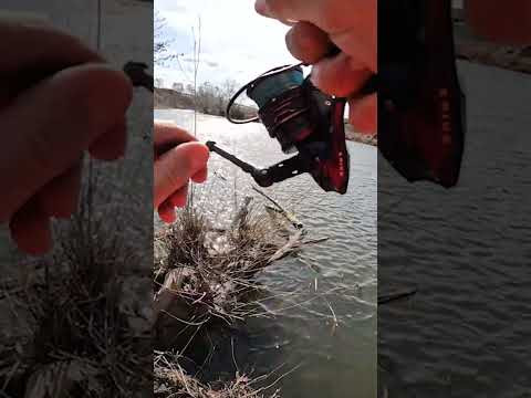 ЭТУ ПОКЛЕВКУ НАДО ВИДЕТЬ!!! ЧУТЬ не ВЫРВАЛ СПИННИНГ! РЫБАЛКА 2024! #рыбалка #fishing