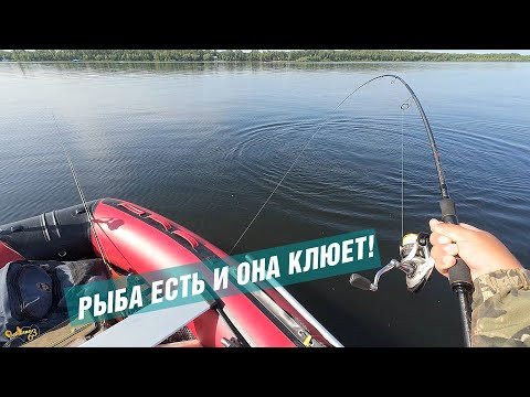 Я СВОЮ ЦЕЛЬ ДОСТИГ &ndash; РЫБА ЕСТЬ И ОНА КЛЮЕТ! 