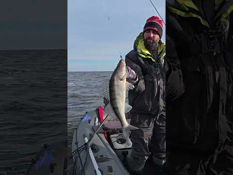 Поролон 104 #fishing #рибалка Поролон 104 #fishing #рибалка